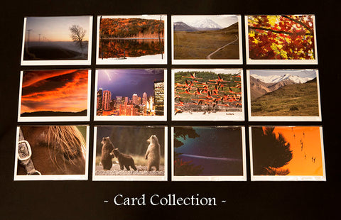Card Collection